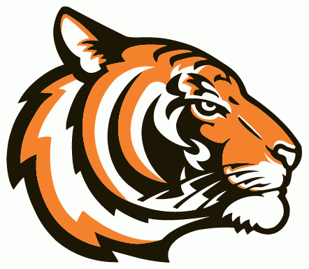 Princeton Tigers 2003-Pres Alternate Logo v2 iron on transfers for fabric
